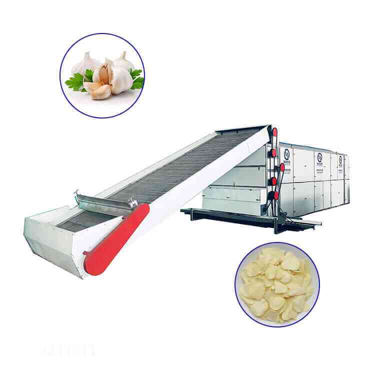 garlic continuous mesh belt dryer